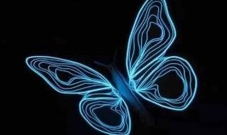 蝴蝶效应是什么意思 蝴蝶效应是什么